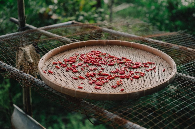 Harvesting in the field